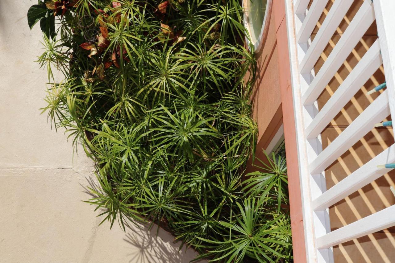 Vila Maui Garden Oasis Lahaina Exteriér fotografie