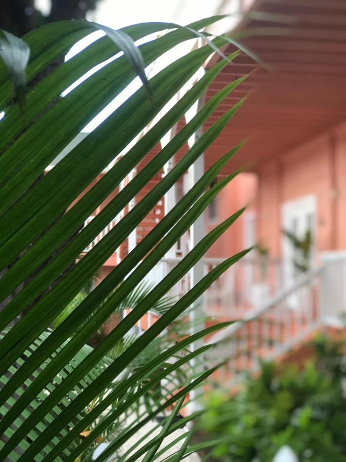 Vila Maui Garden Oasis Lahaina Exteriér fotografie